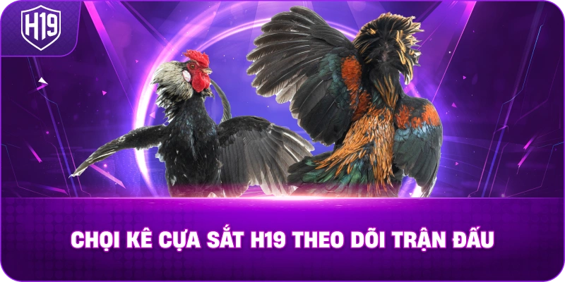 Chọi Kê Cựa Sắt H19 theo dõi trận đấu