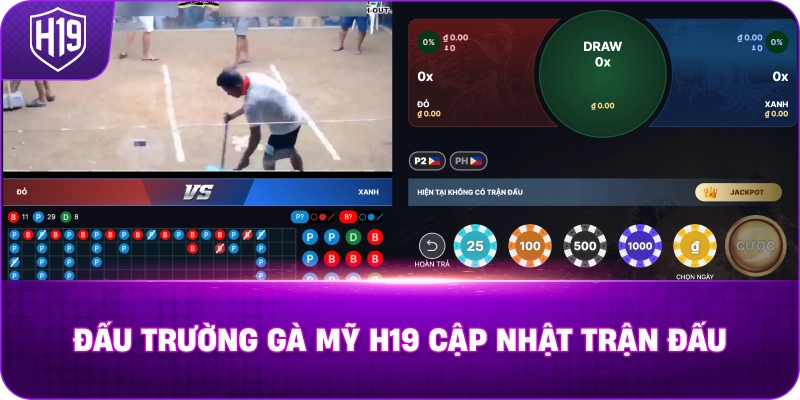 Đấu Trường Gà Mỹ H19 cập nhật trận đấu