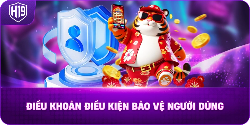 Điều Khoản Điều Kiện Bảo Vệ Người Dùng